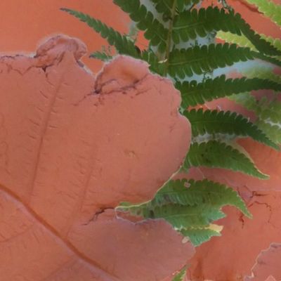 clay and ferns texture