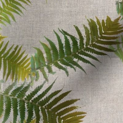 ferns and gray linen texture little