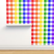 Rainbow Gingham