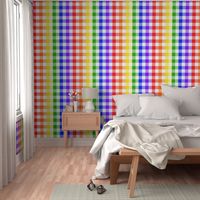 Rainbow Gingham