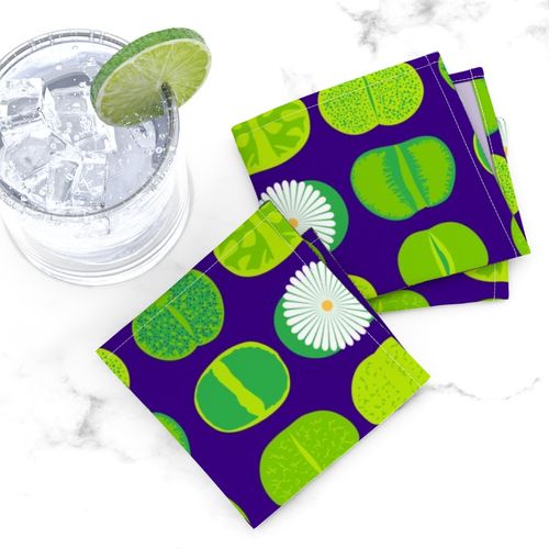 HOME_GOOD_COCKTAIL_NAPKIN