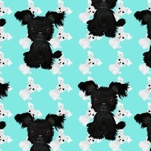 Black & White Puppies - Black is Abt 2"