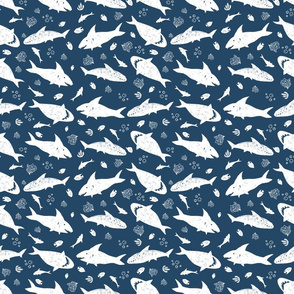 Shark pen sketch blue rows 01