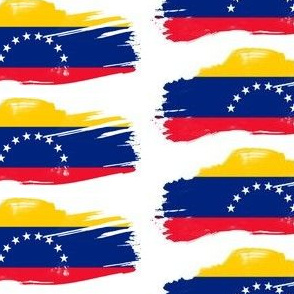 Venezuela's Flag Art