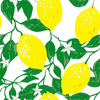 Lemon_leaf_flower_fruit_impression