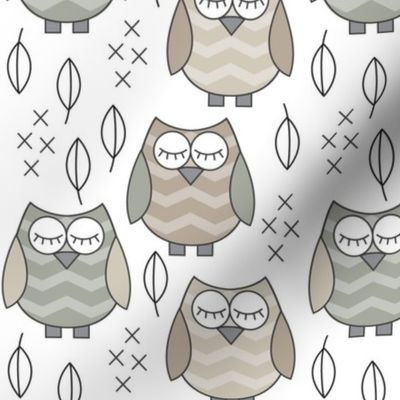 neutral sleeping owls