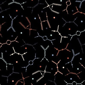 Feynman diagrams and Particles on Black