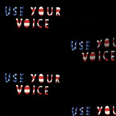 USA - Use Your Voice