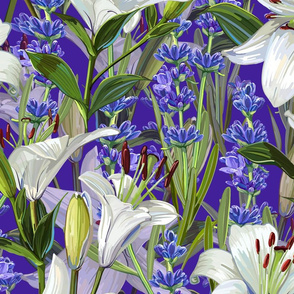 White Lilies + Lavender | Violet