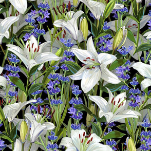 White Lilies + Lavender | Black