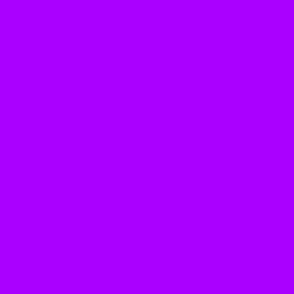 Potent Purple - solid