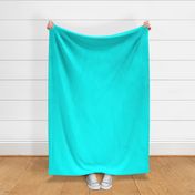 Bright  Turquoise Blue - solid