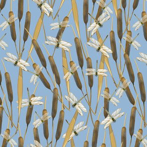 Dragonflies on Cattails | Medium Country Blue