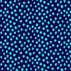 Aqua spots on navy