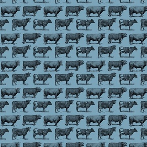 Classic Cow Illustrations in Black with Slate Blue Background (Small Scale)