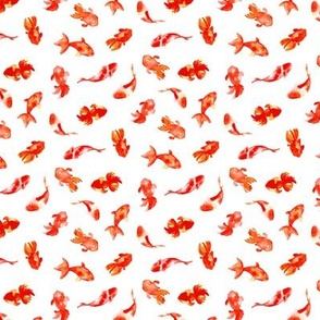 Watercolor Goldfish On White (Small Scale)