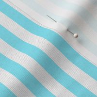 Baby Blue & White Stripes w/ Linen Effect (Mini Scale)