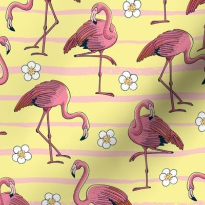 Tropical Flamingoes