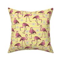 Tropical Flamingoes