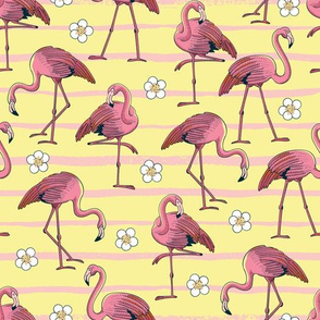 Tropical Flamingoes