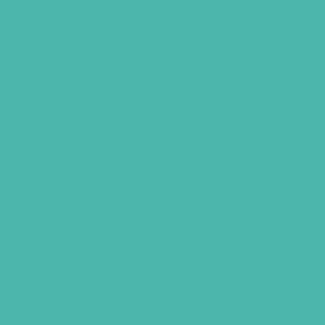 Aqua Green Blue Solid Color Pairs To Pantone Turquoise 15-5519