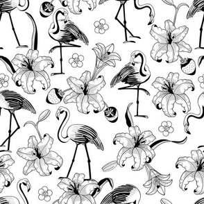 Black and White Flamingoes