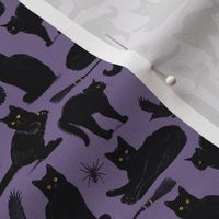 X-small scale • Witch black cat - purple