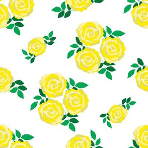 Yellow roses on white 