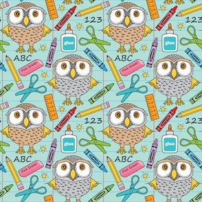 medium owls at school on teal