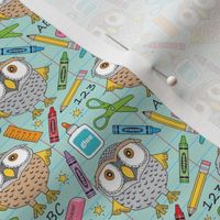 small owls at school on teal