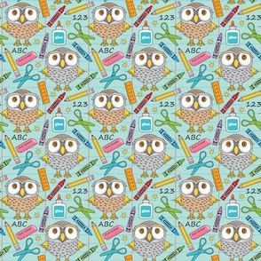 small owls at school on teal