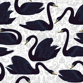 Black Swans On Silver Damask