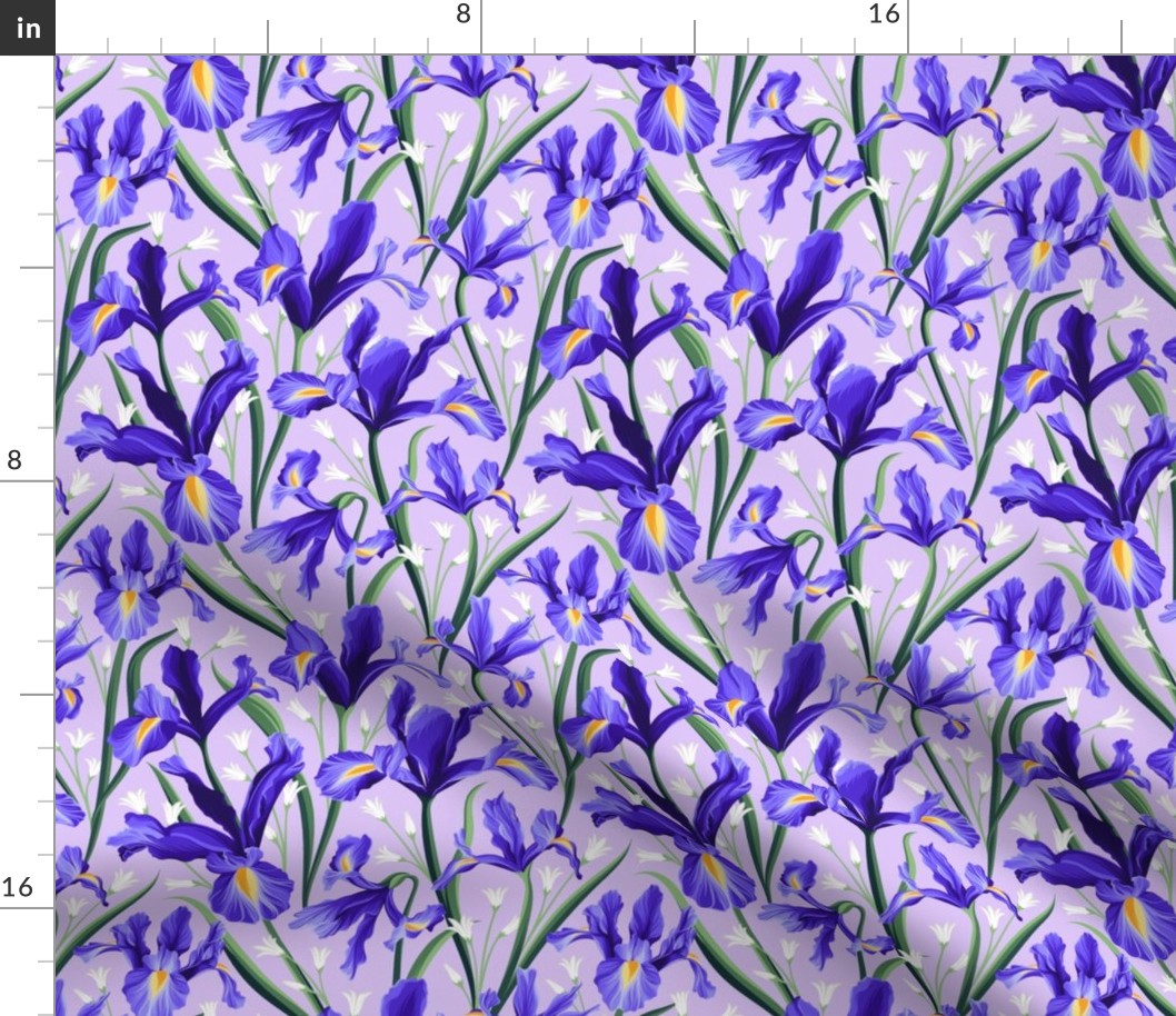 Iris Blue & Bluebells Violet