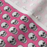 (3/4" scale) skulls - pink skull - halloween - LAD20BS