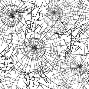 Spider web 