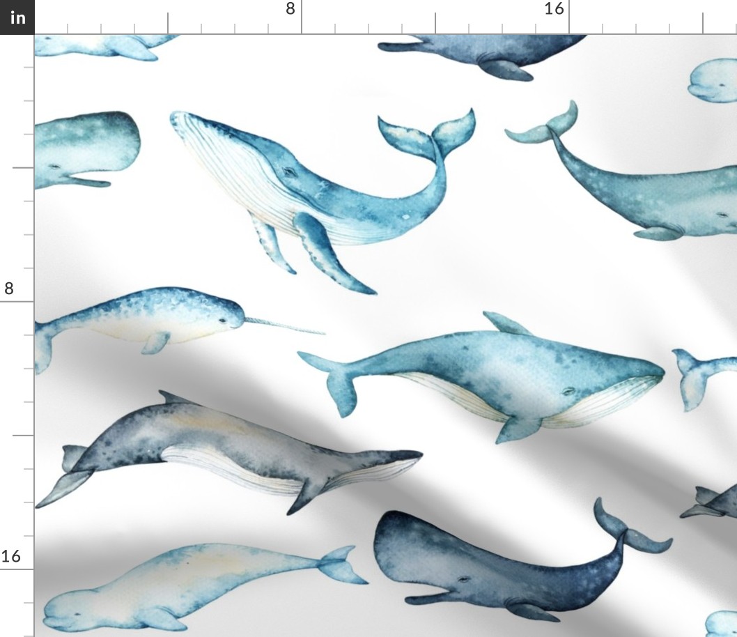 Jumbo / Watercolor Whales