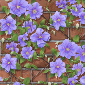 Clematis on Brick Wall