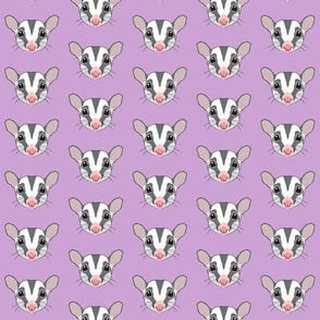 small sugar glider faces on purple