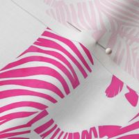 zebras in fuchsia -  LAD20