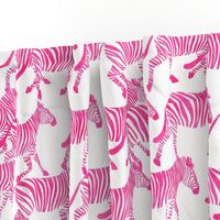 zebras in fuchsia -  LAD20