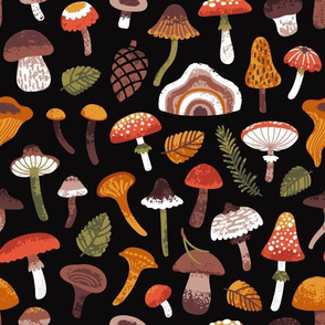 Mushrooms. Big scale. Dark background.