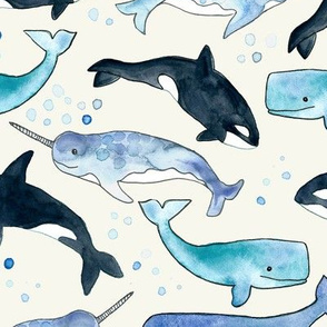 Whales, Orcas & Narwhals - Large