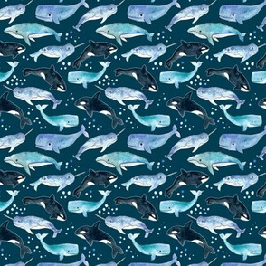 Whales, Orcas & Narwhals on Navy - Tiny