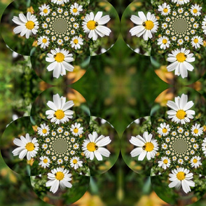 Magic Field Summer Grass - Chamomile Flower with Bug - Polarity #1
