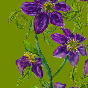 watercolor purple clematis 