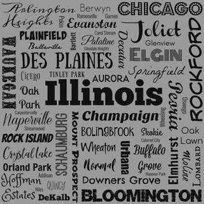 Illinois cities, std gray