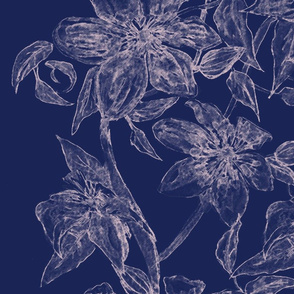 CLEMATIS  blue & white 2