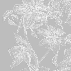 Flowering Clematis - Gray & White