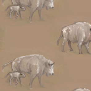 White Spirit Bison Buffalo Bull Cow and Calf