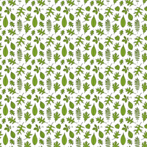 Green Tree Leaves Illustrated Leaf Pattern on White (Mini Scale)